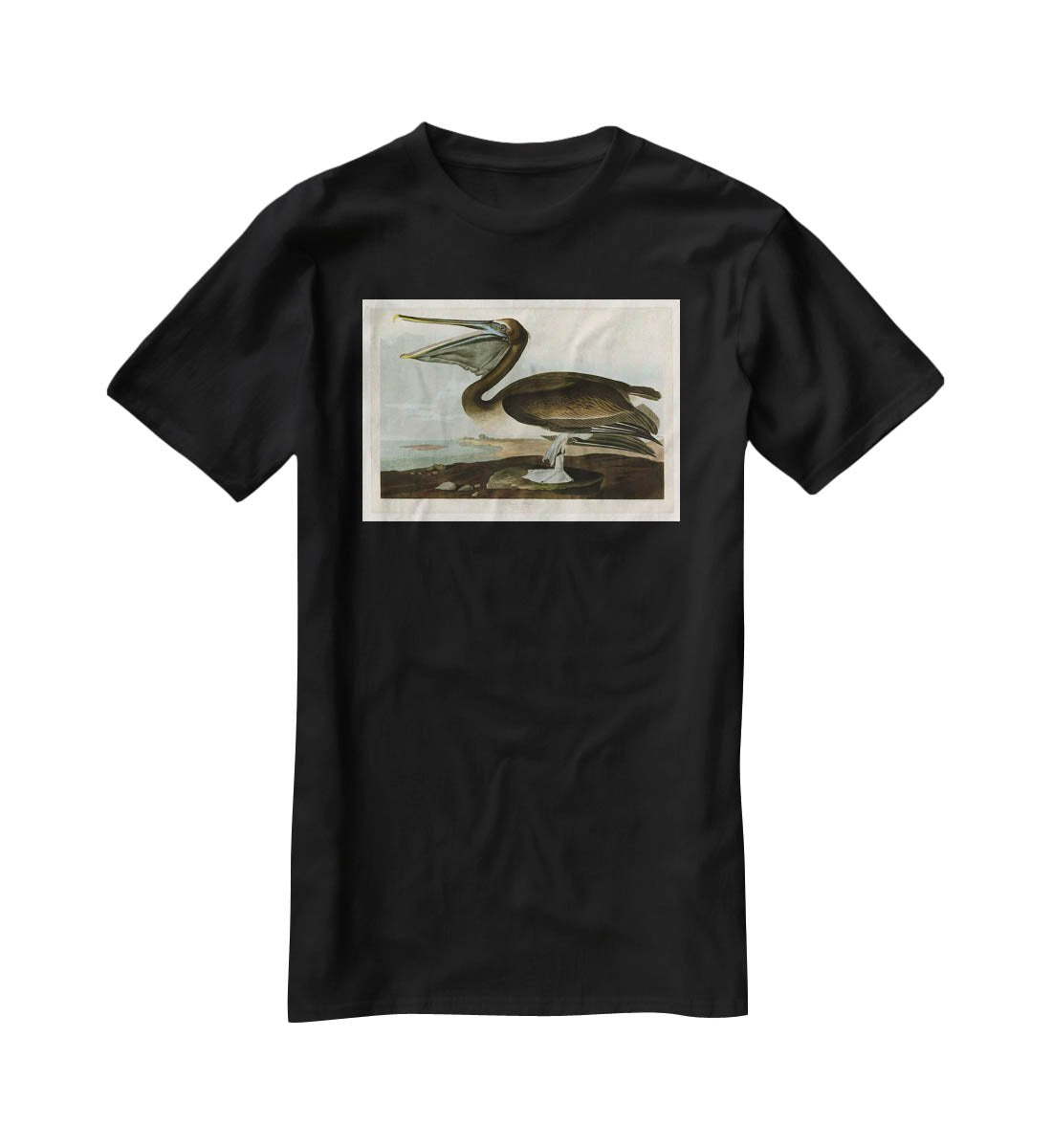 Brown Pelican by Audubon T-Shirt - Canvas Art Rocks - 1