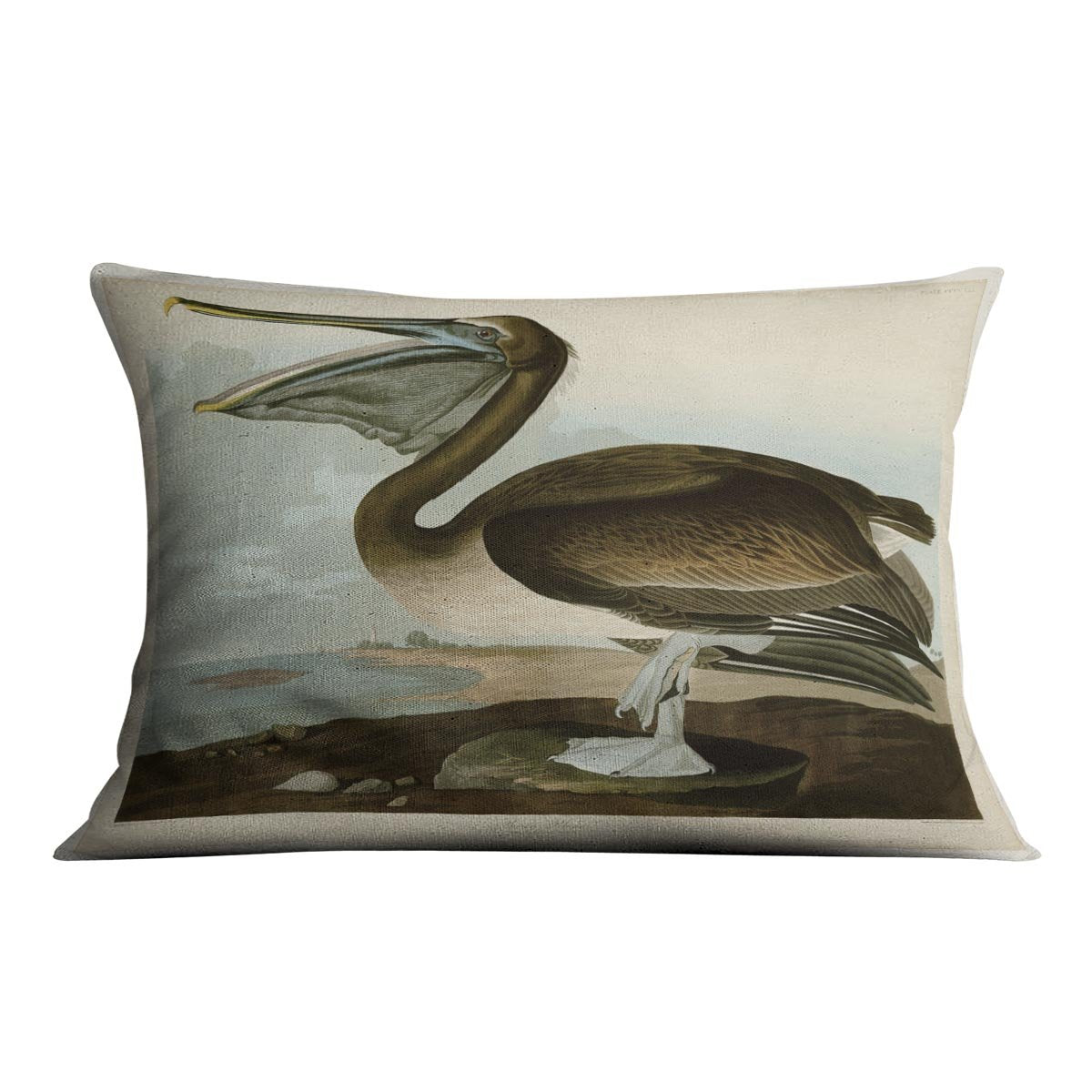 Brown Pelican by Audubon Cushion