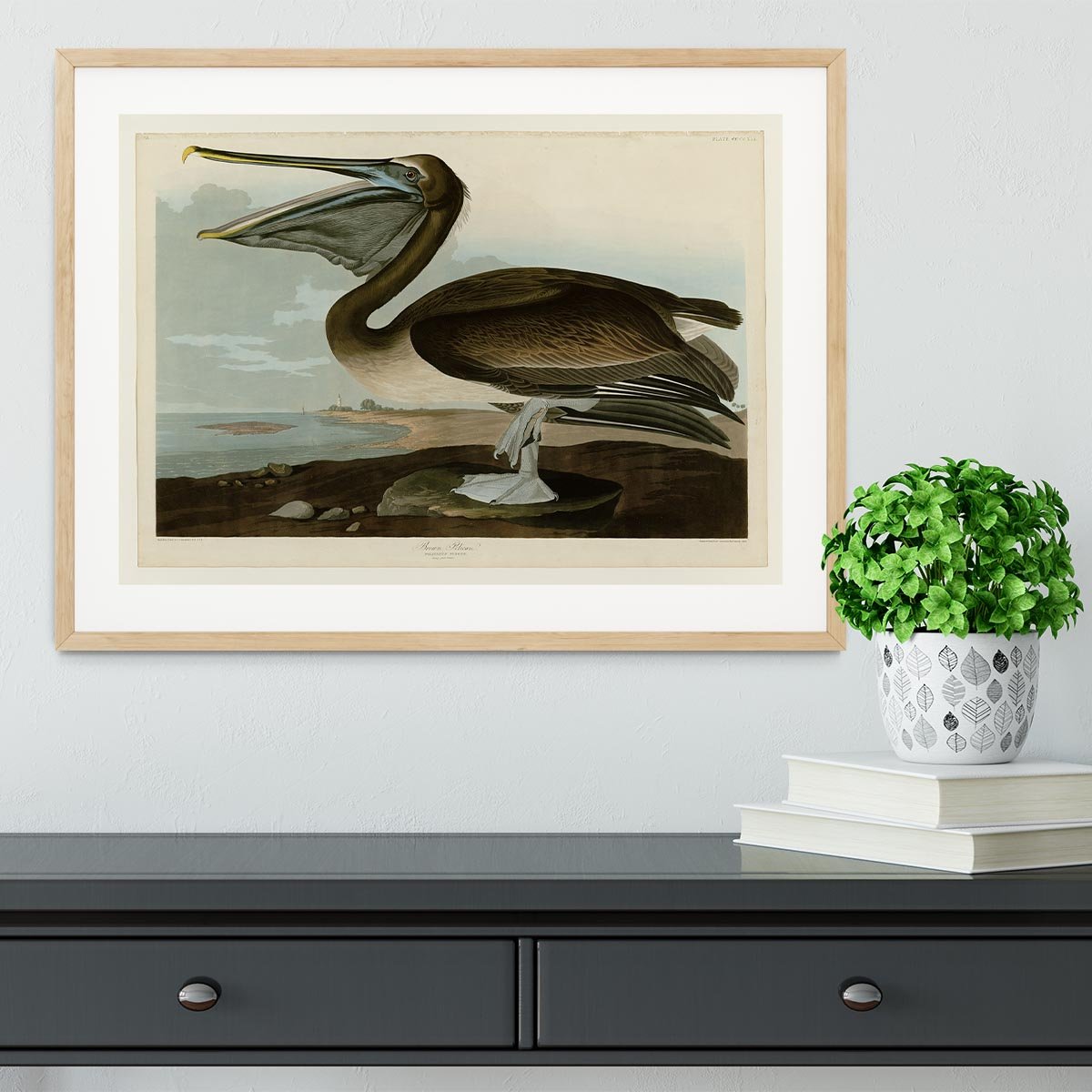 Brown Pelican by Audubon Framed Print - Canvas Art Rocks - 3