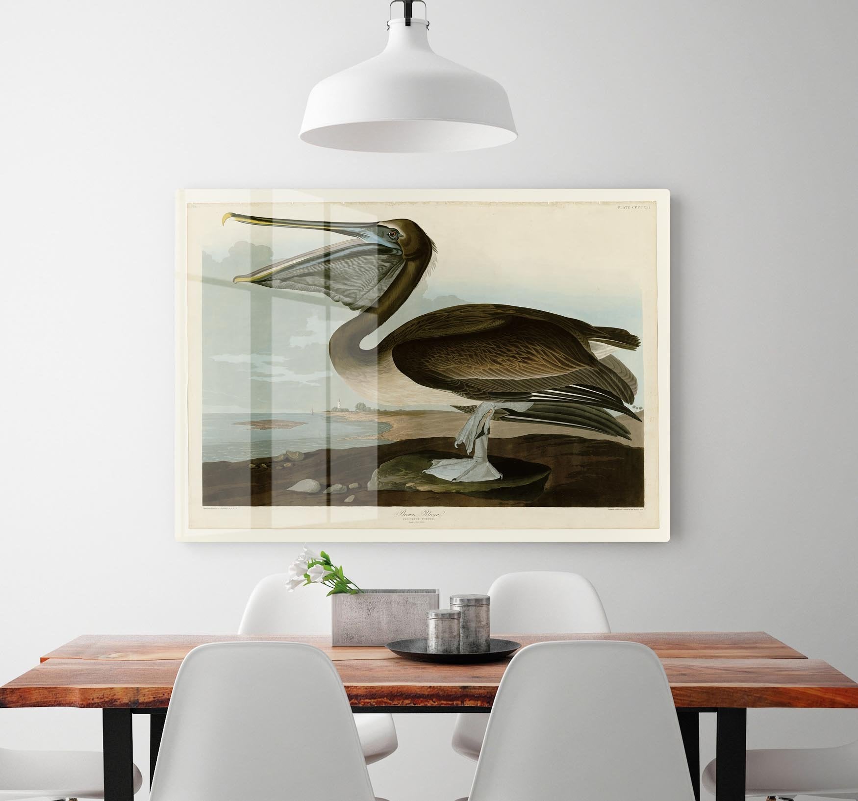 Brown Pelican by Audubon HD Metal Print - Canvas Art Rocks - 2