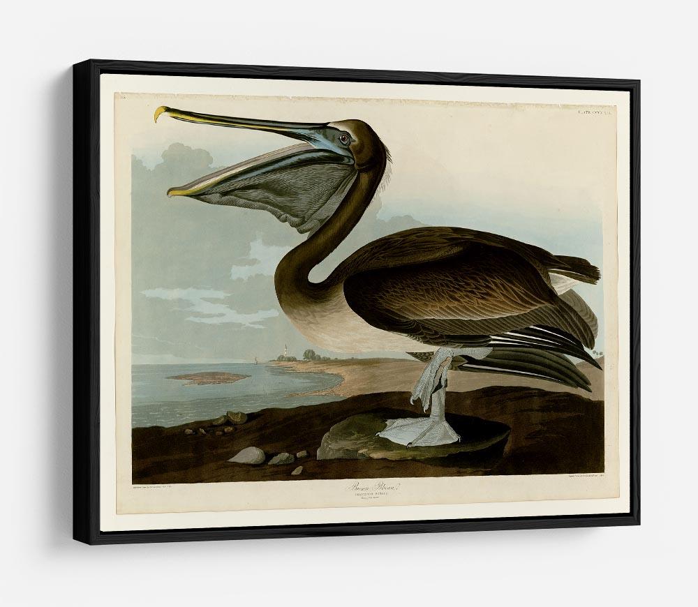 Brown Pelican by Audubon HD Metal Print - Canvas Art Rocks - 6