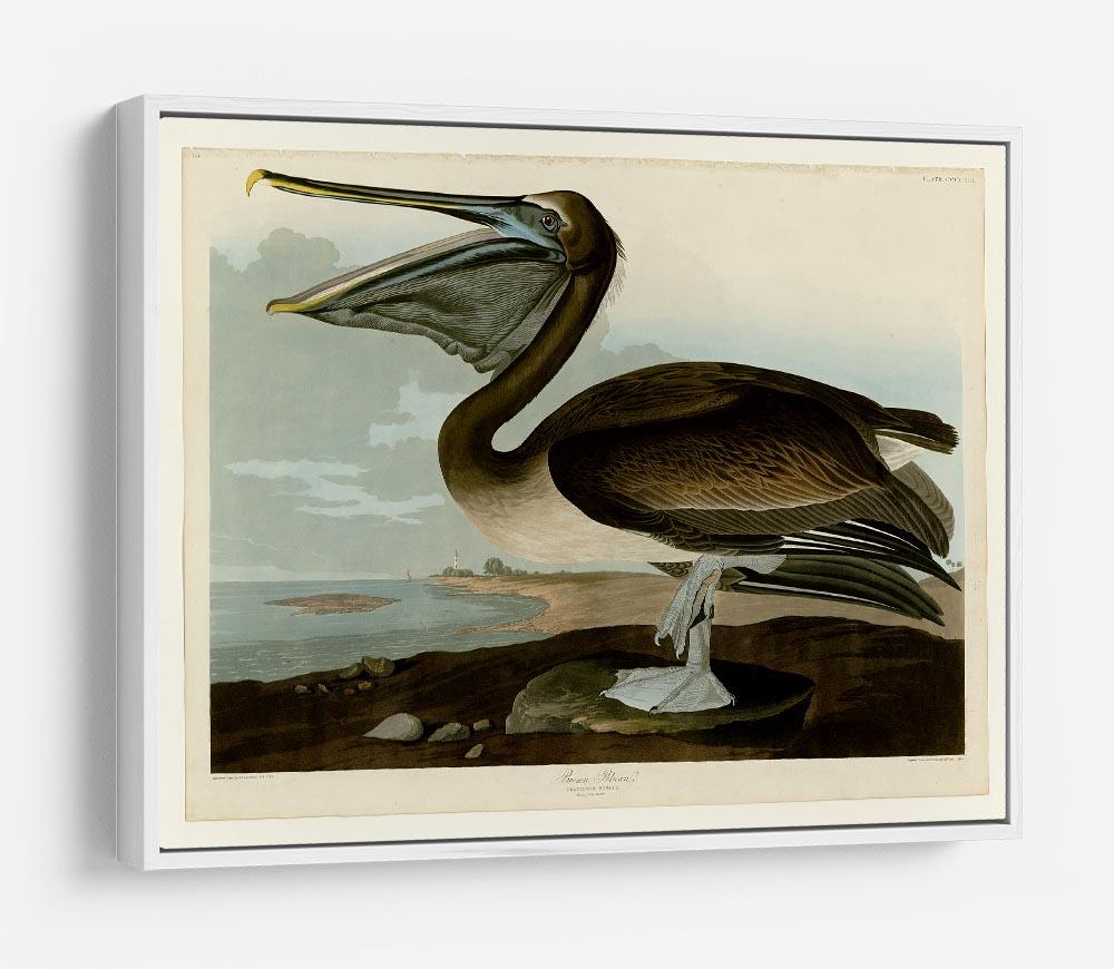 Brown Pelican by Audubon HD Metal Print - Canvas Art Rocks - 7