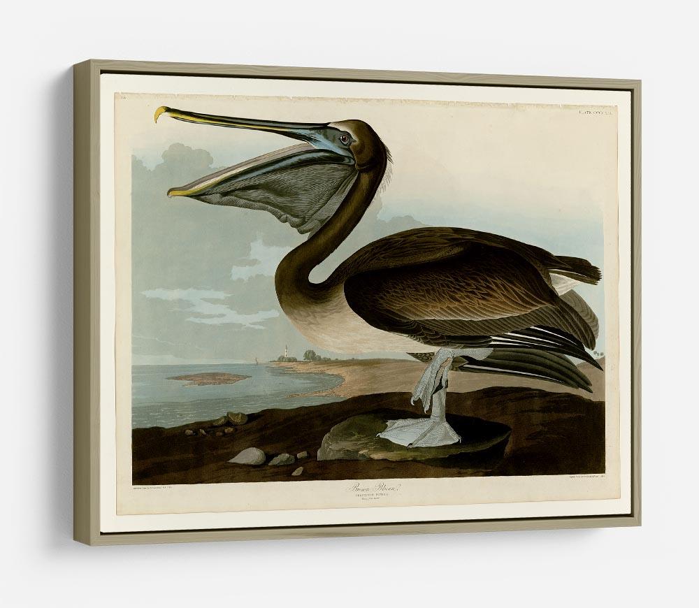 Brown Pelican by Audubon HD Metal Print - Canvas Art Rocks - 8