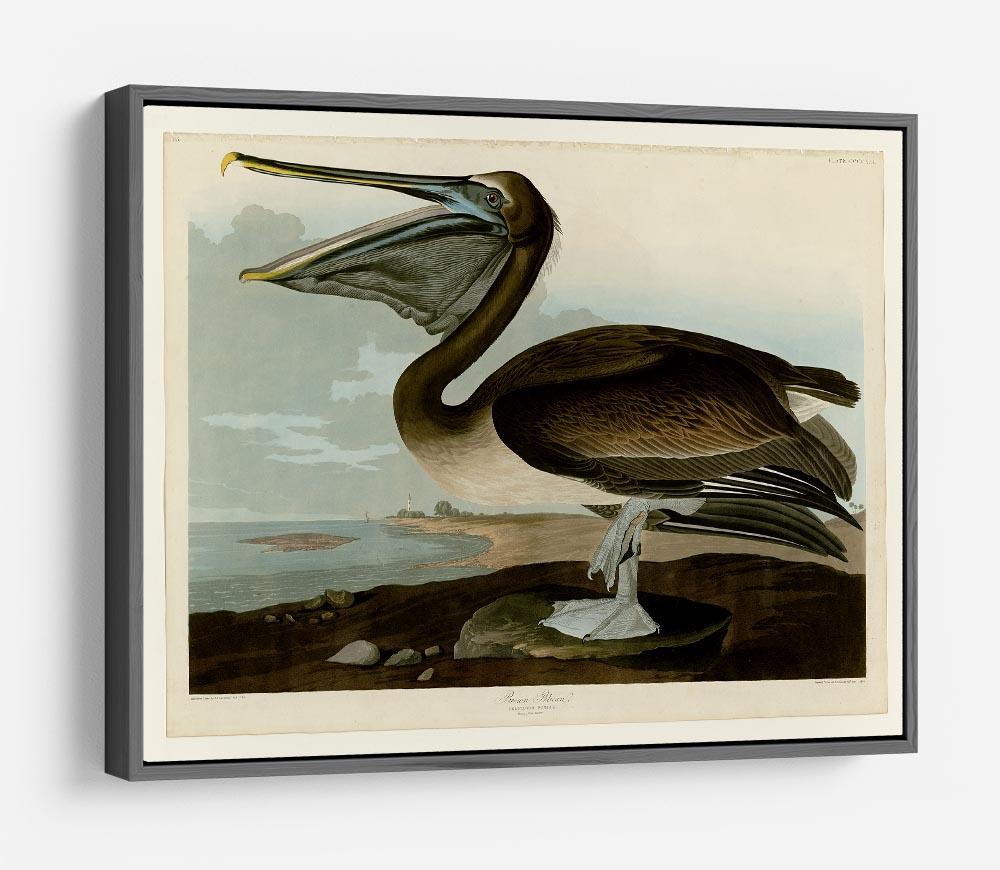 Brown Pelican by Audubon HD Metal Print - Canvas Art Rocks - 9