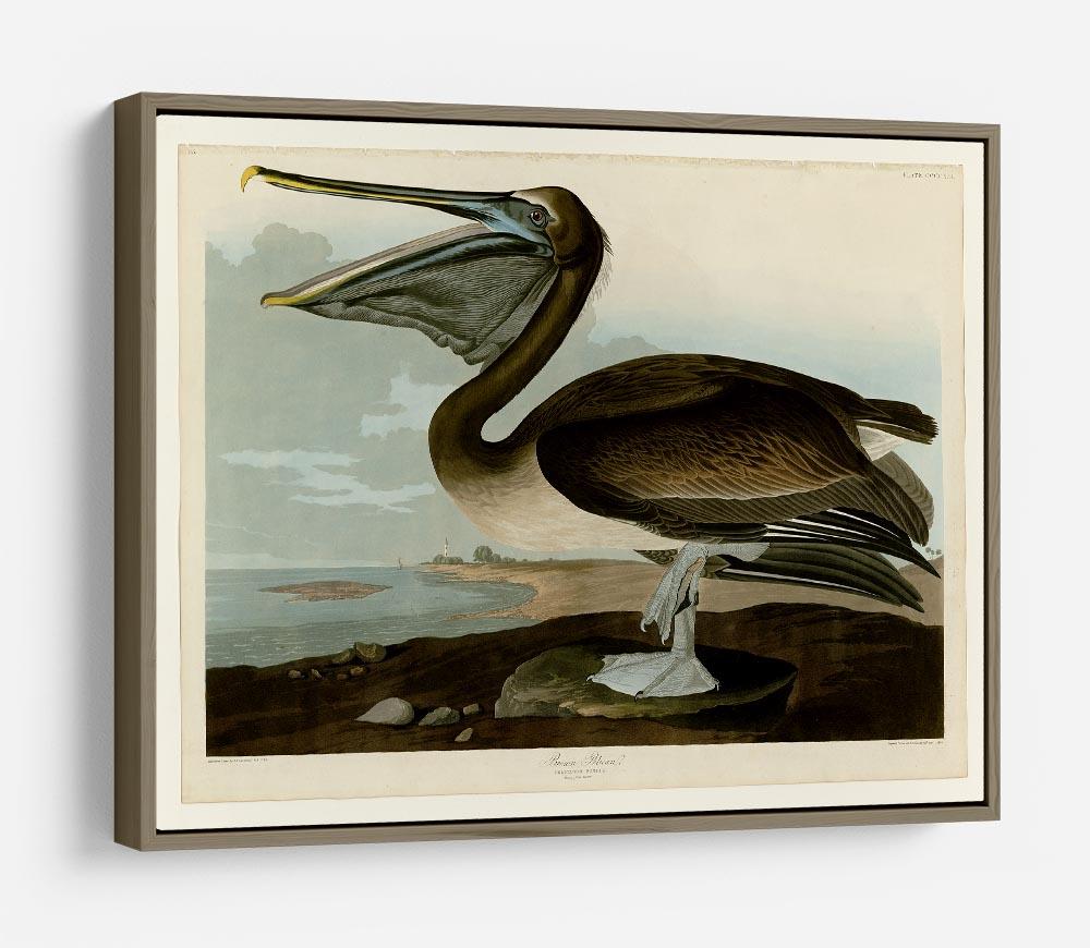 Brown Pelican by Audubon HD Metal Print - Canvas Art Rocks - 10