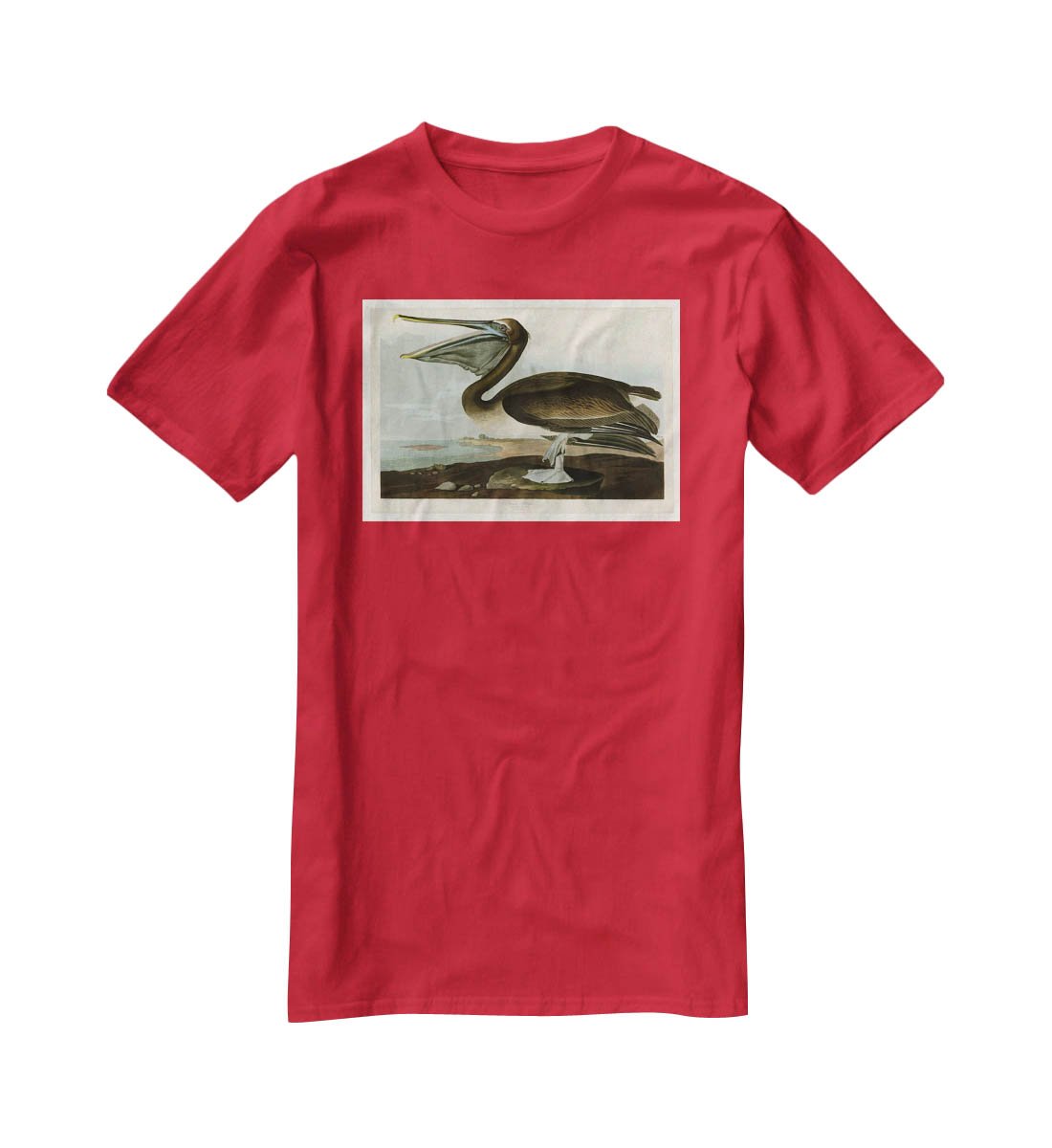 Brown Pelican by Audubon T-Shirt - Canvas Art Rocks - 4