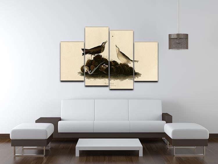 Brown Titlark by Audubon 4 Split Panel Canvas - Canvas Art Rocks - 3
