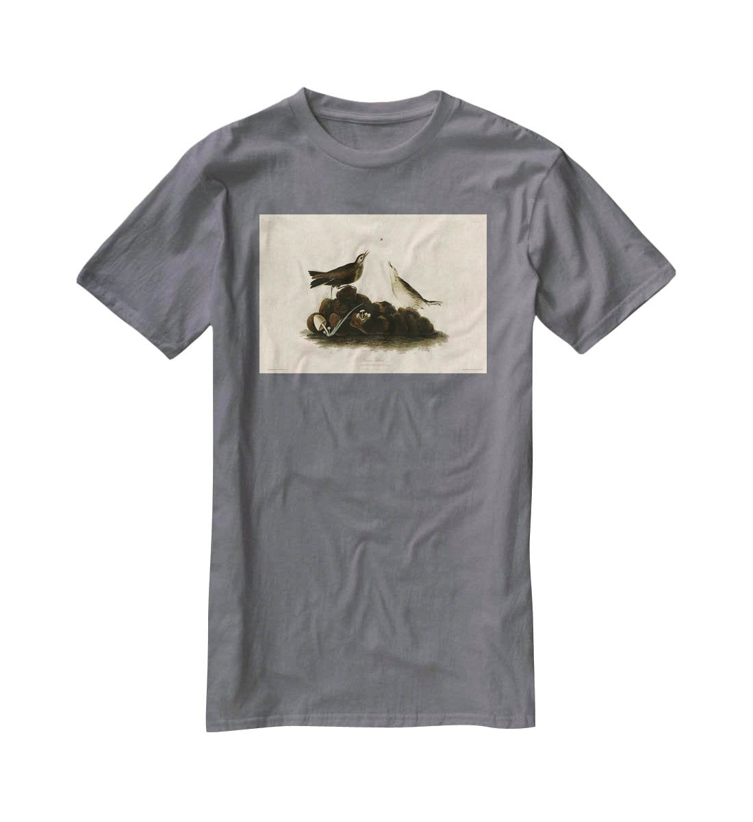 Brown Titlark by Audubon T-Shirt - Canvas Art Rocks - 3