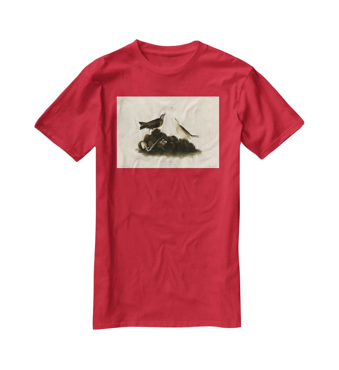 Brown Titlark by Audubon T-Shirt - Canvas Art Rocks - 4