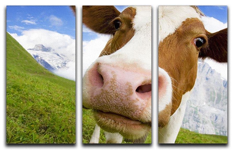 Brown and white cow in alps 3 Split Panel Canvas Print - Canvas Art Rocks - 1