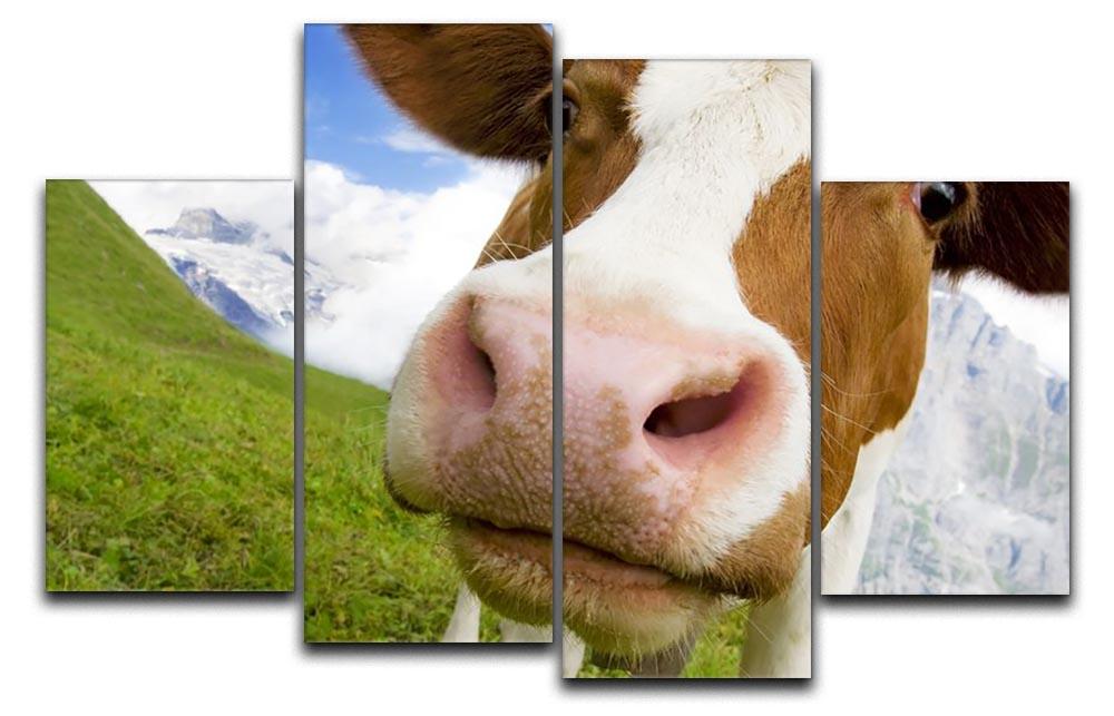 Brown and white cow in alps 4 Split Panel Canvas - Canvas Art Rocks - 1