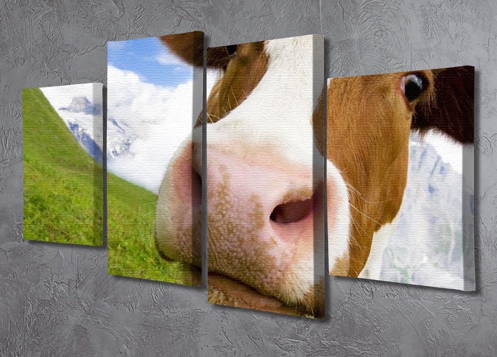 Brown and white cow in alps 4 Split Panel Canvas - Canvas Art Rocks - 2