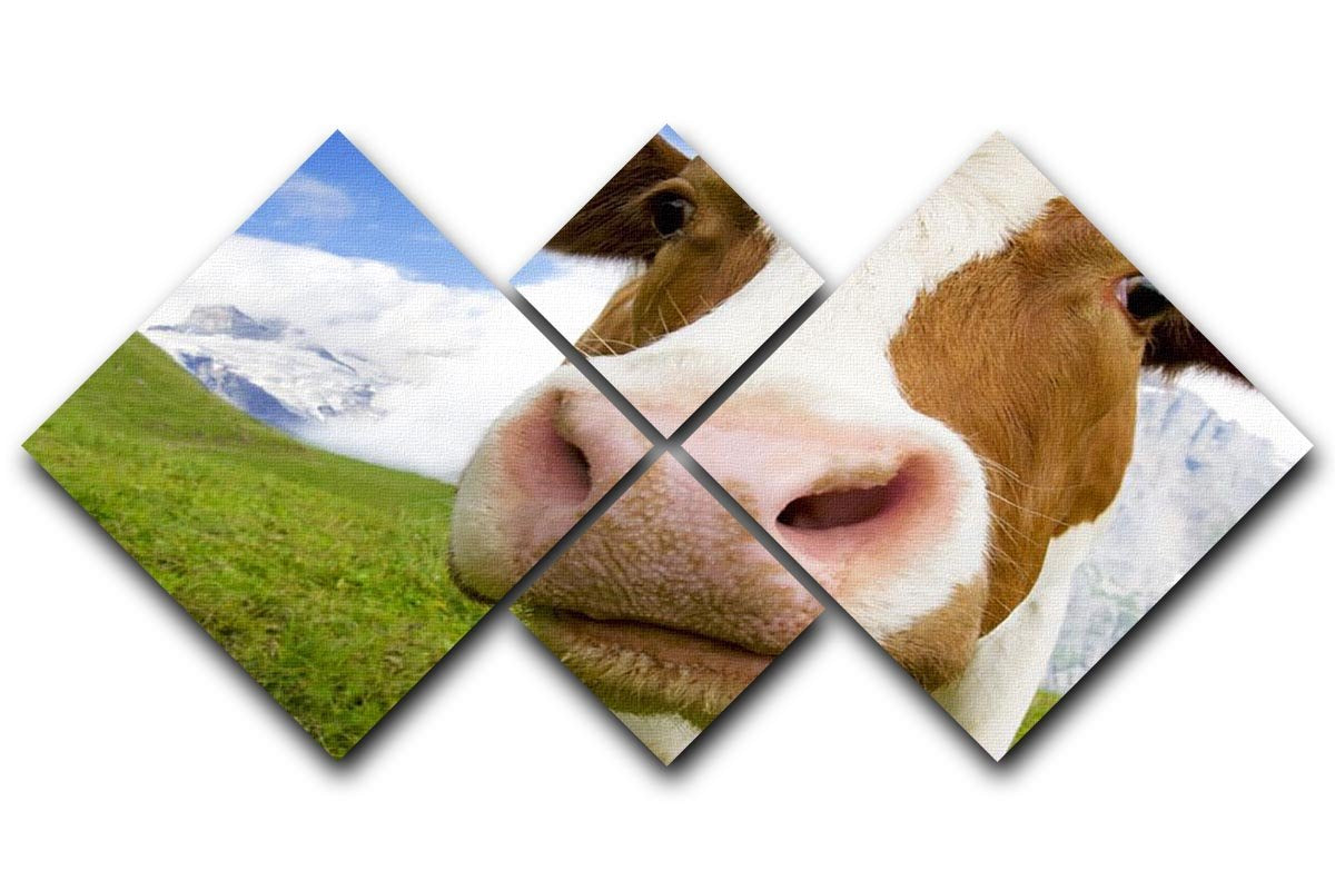 Brown and white cow in alps 4 Square Multi Panel Canvas - Canvas Art Rocks - 1