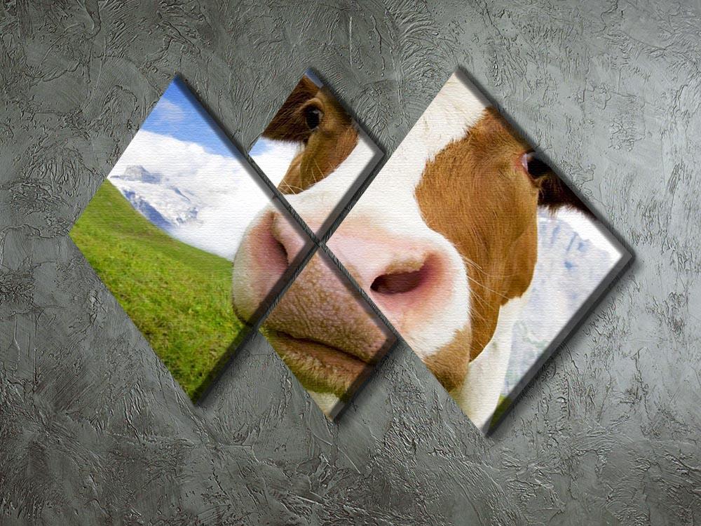 Brown and white cow in alps 4 Square Multi Panel Canvas - Canvas Art Rocks - 2