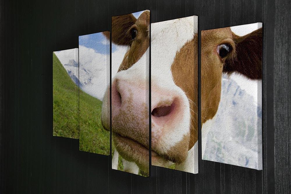 Brown and white cow in alps 5 Split Panel Canvas - Canvas Art Rocks - 2