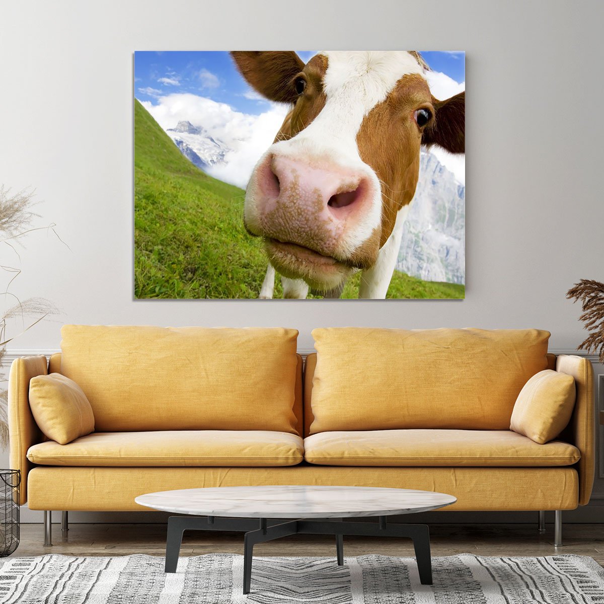Brown and white cow in alps Canvas Print or Poster