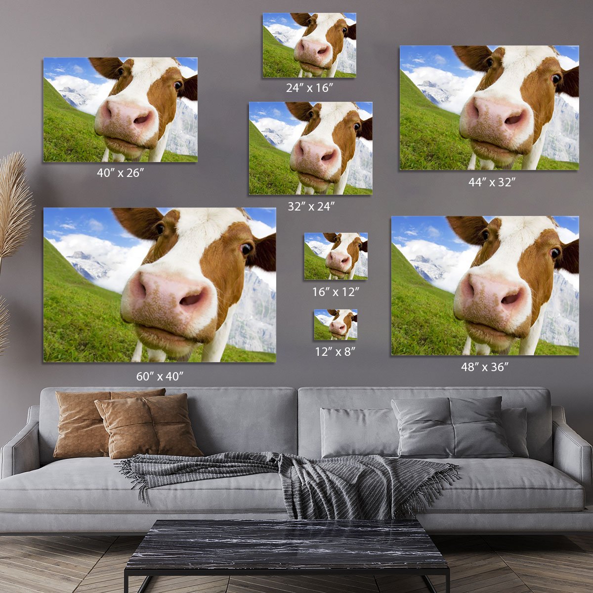 Brown and white cow in alps Canvas Print or Poster