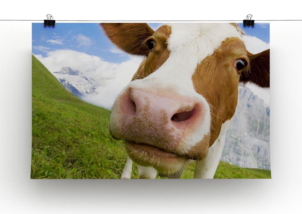 Brown and white cow in alps Canvas Print or Poster - Canvas Art Rocks - 2