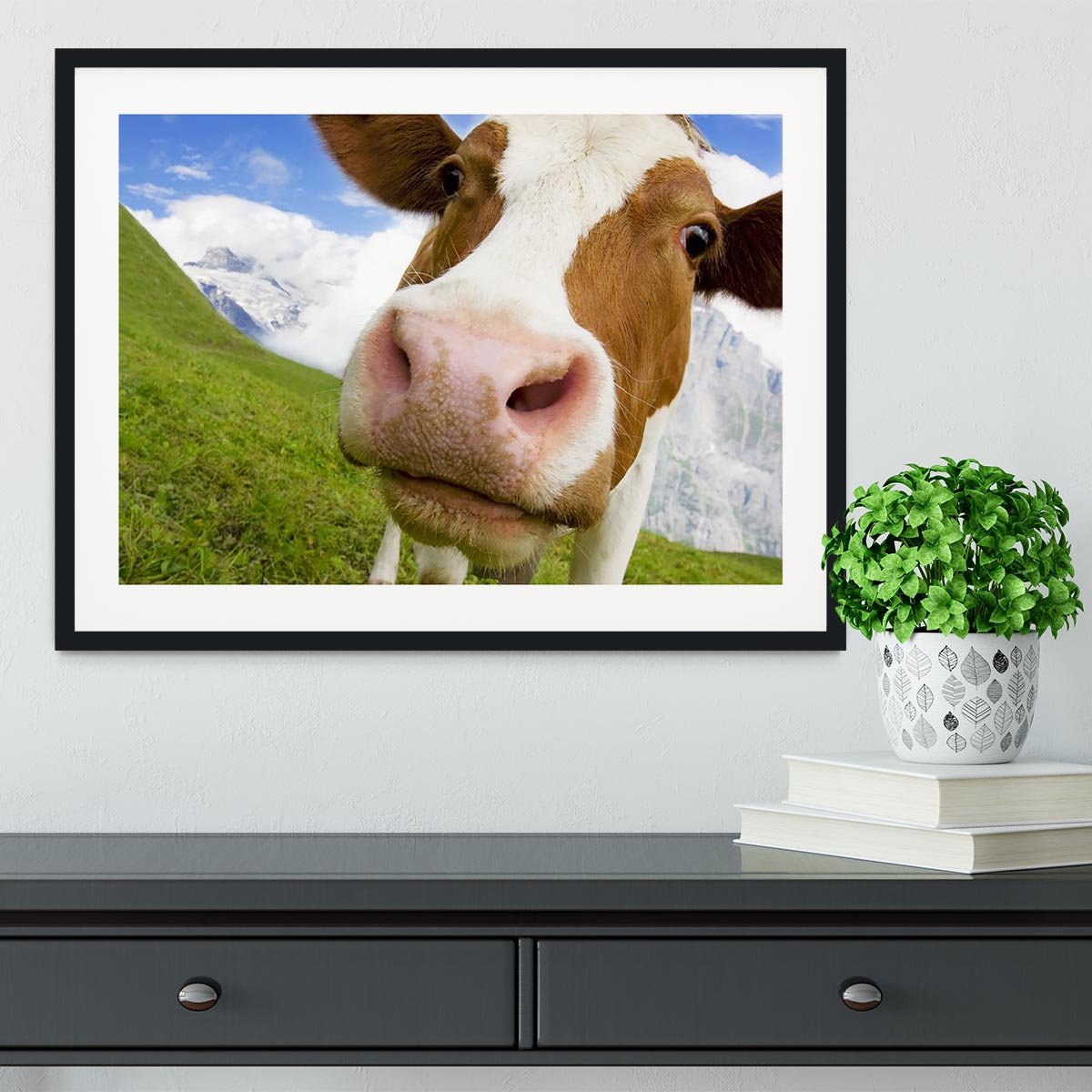 Brown and white cow in alps Framed Print - Canvas Art Rocks - 1