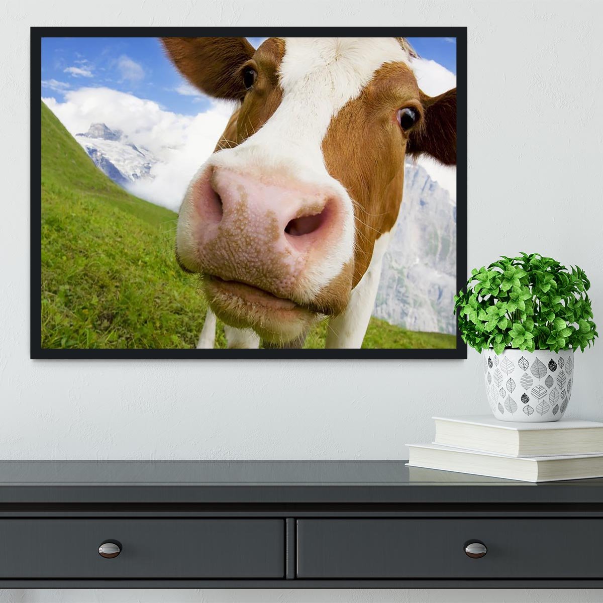 Brown and white cow in alps Framed Print - Canvas Art Rocks - 2
