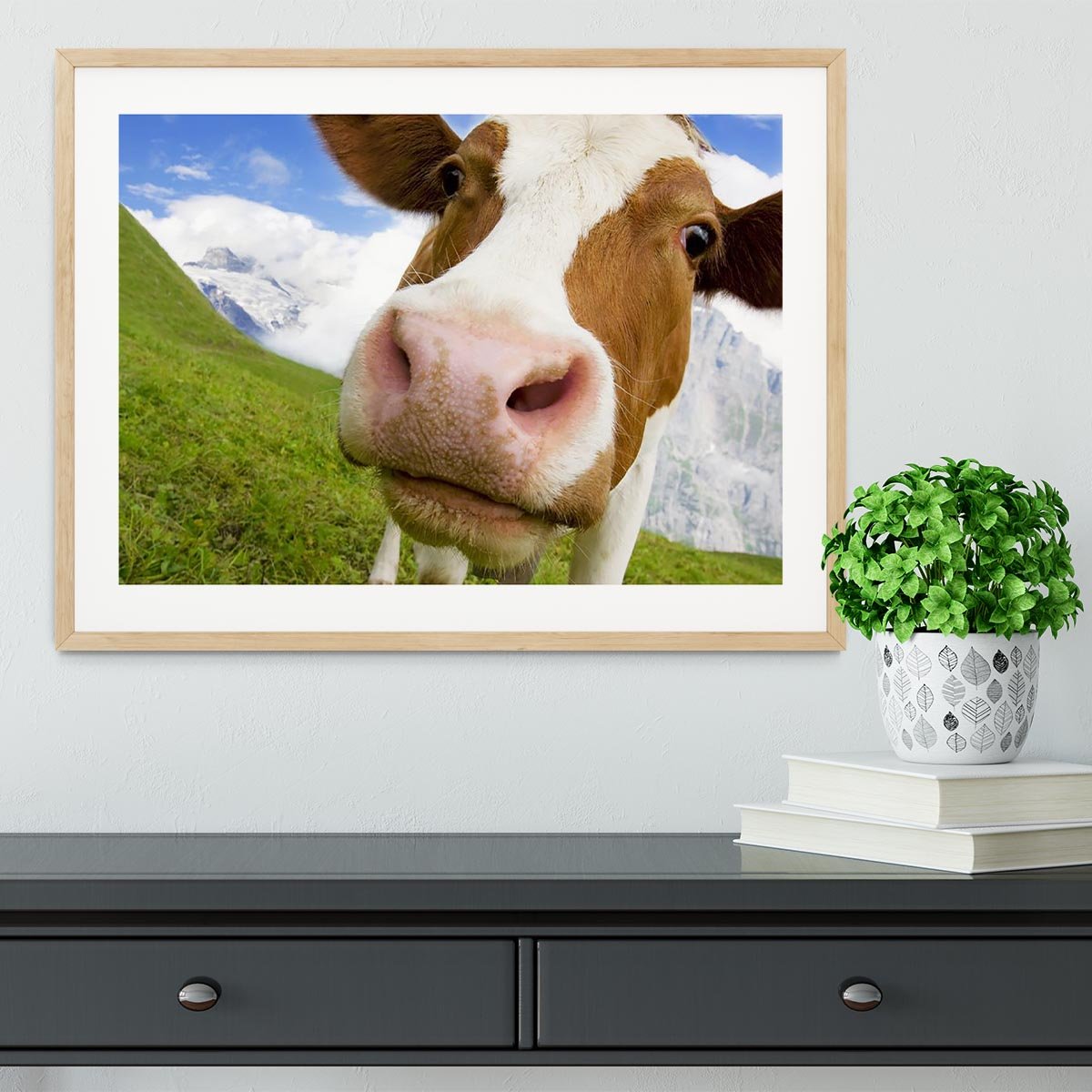 Brown and white cow in alps Framed Print - Canvas Art Rocks - 3