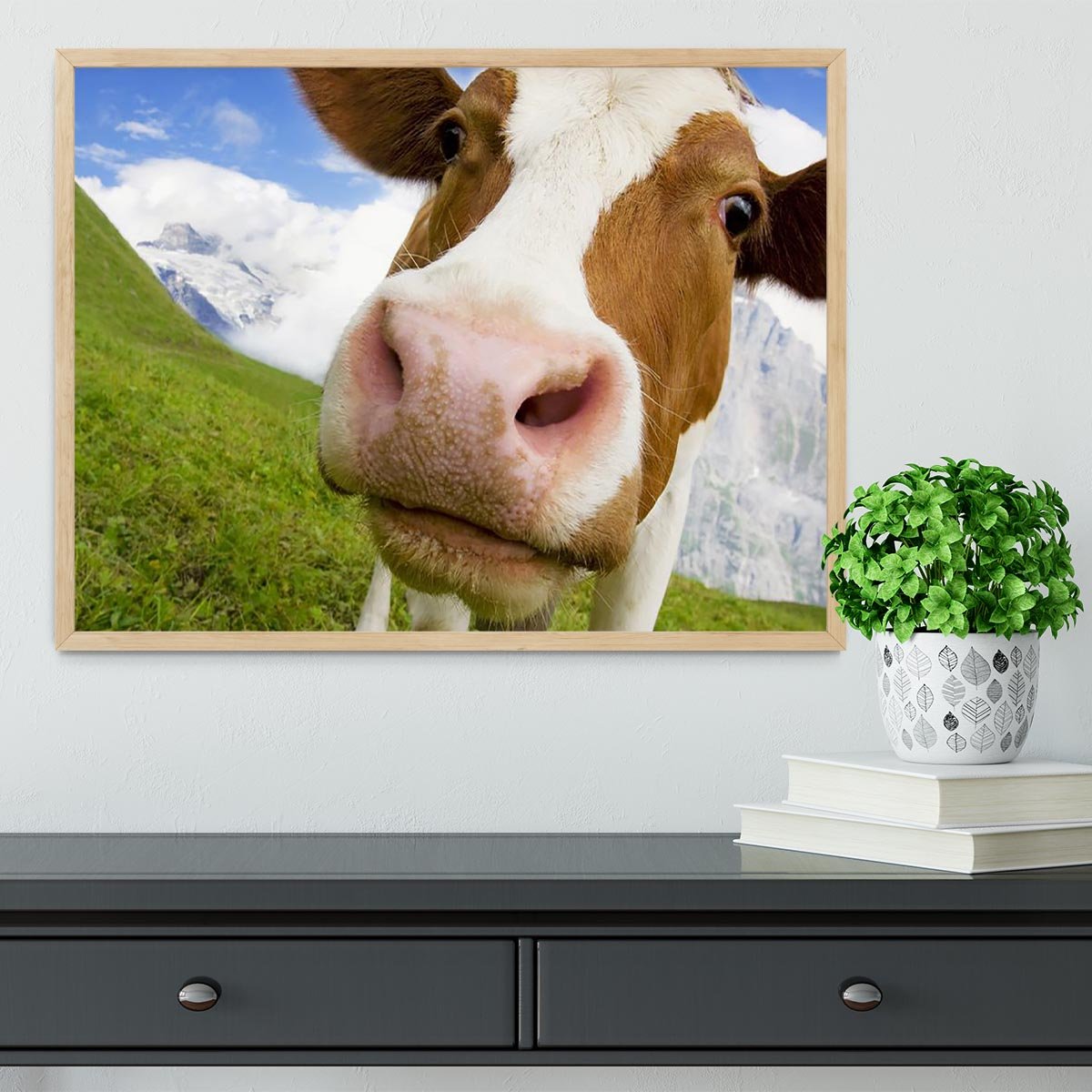 Brown and white cow in alps Framed Print - Canvas Art Rocks - 4