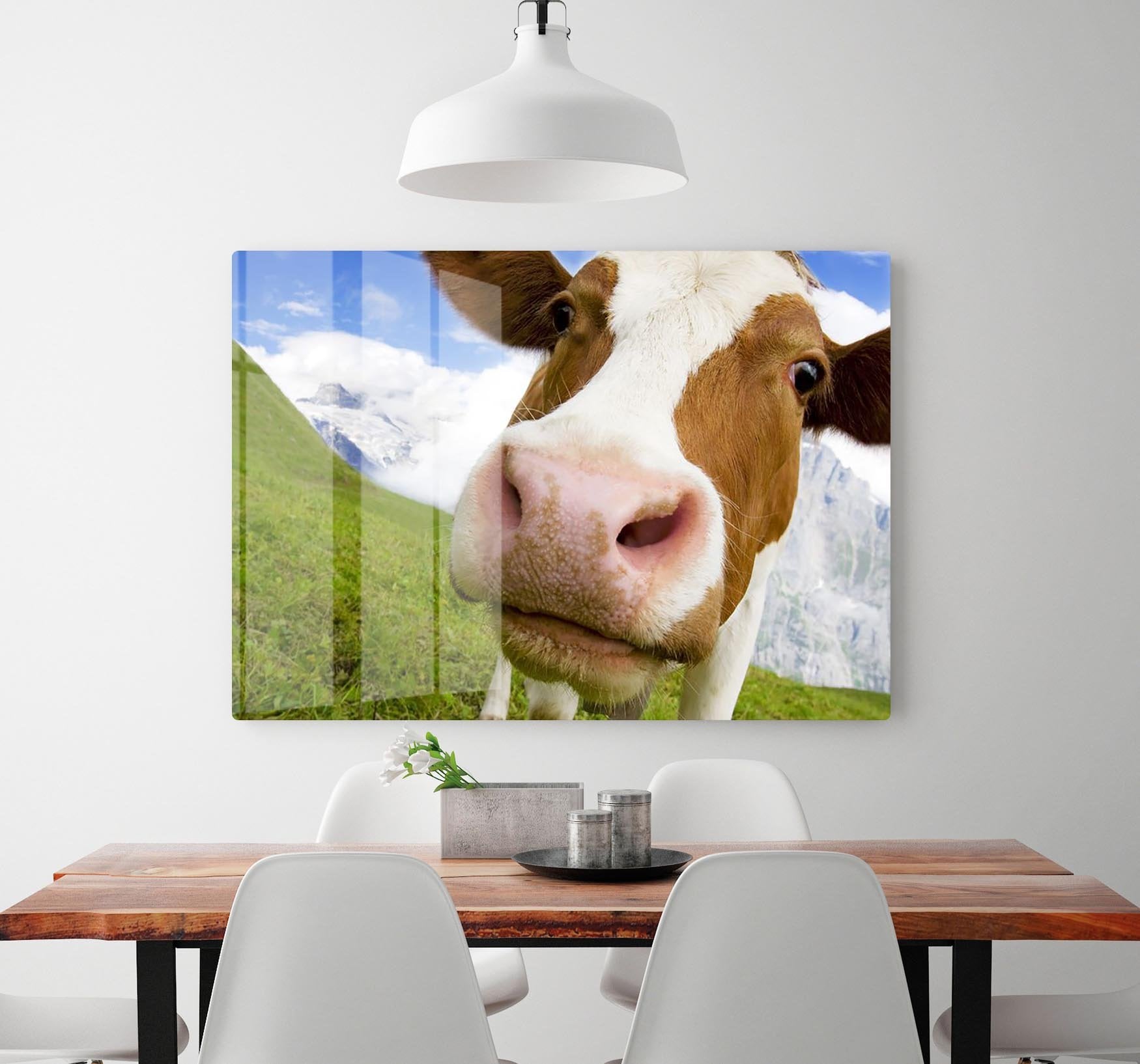 Brown and white cow in alps HD Metal Print - Canvas Art Rocks - 2