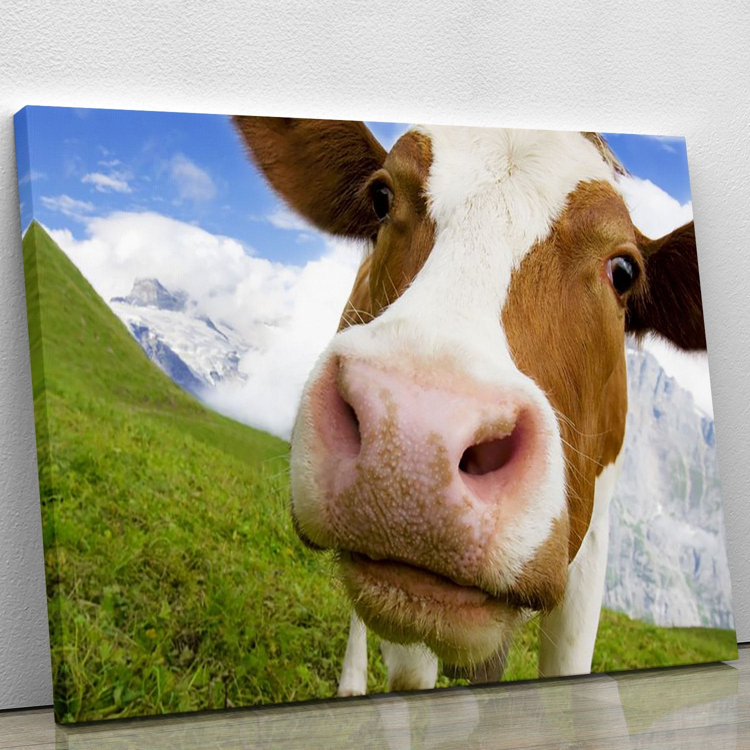 Brown and white cow in the alps Canvas Print or Poster