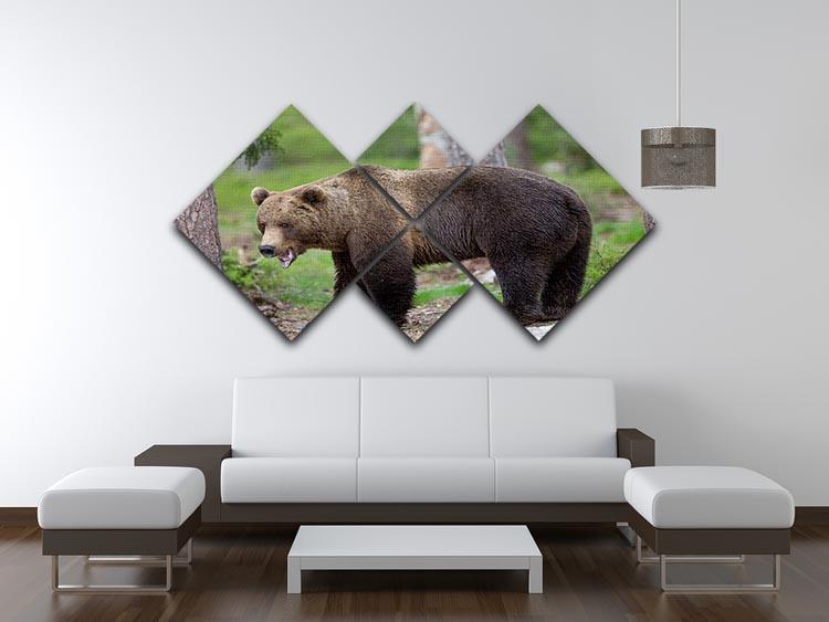 Brown bear in Tiaga forest 4 Square Multi Panel Canvas - Canvas Art Rocks - 3