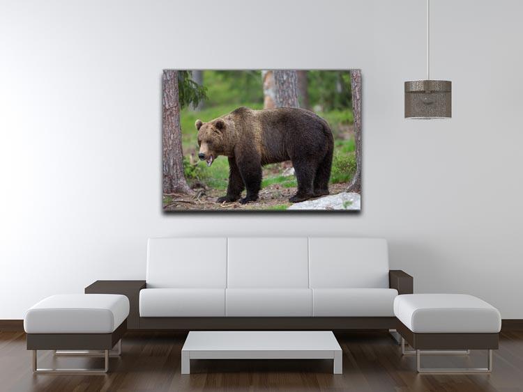 Brown bear in Tiaga forest Canvas Print or Poster - Canvas Art Rocks - 4