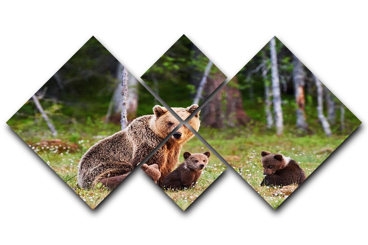 Brown mother bear protecting her cubs 4 Square Multi Panel Canvas - Canvas Art Rocks - 1