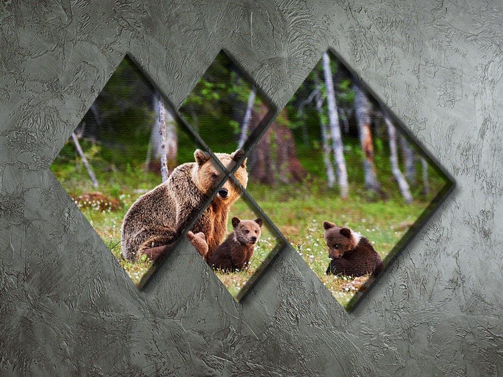 Brown mother bear protecting her cubs 4 Square Multi Panel Canvas - Canvas Art Rocks - 2