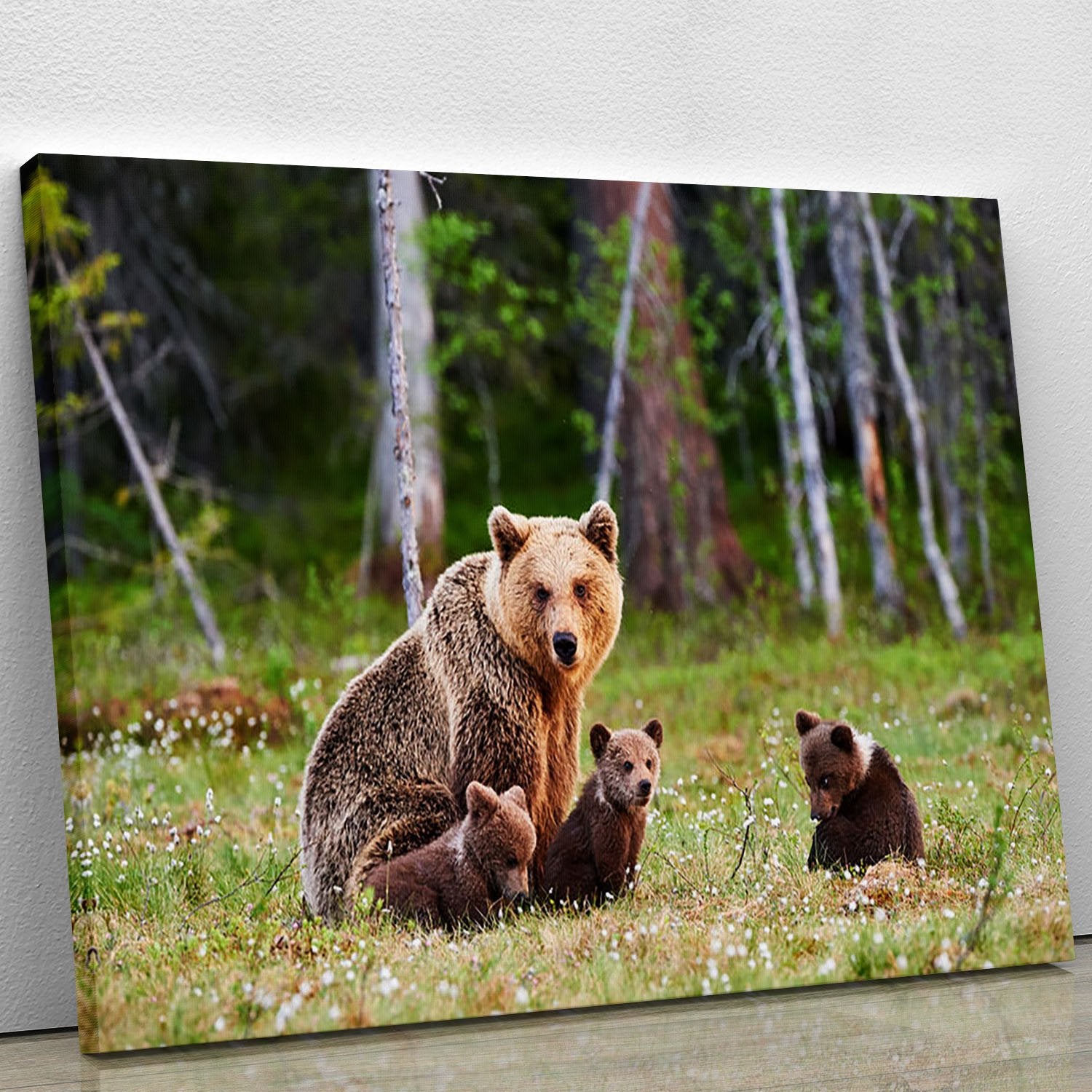 Brown mother bear protecting her cubs Canvas Print or Poster