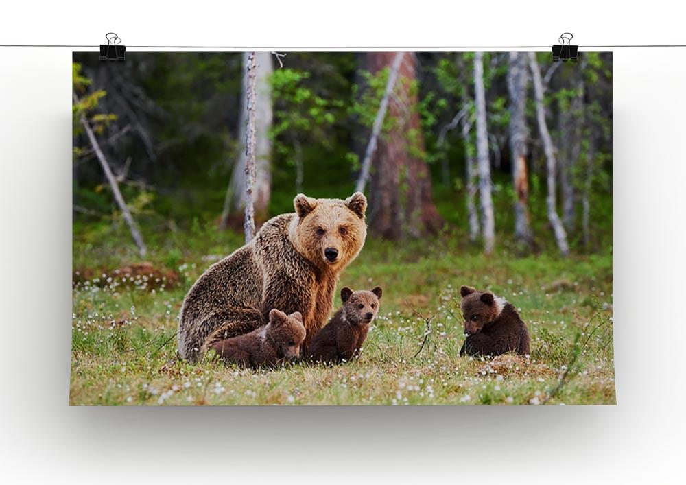 Brown mother bear protecting her cubs Canvas Print or Poster - Canvas Art Rocks - 2