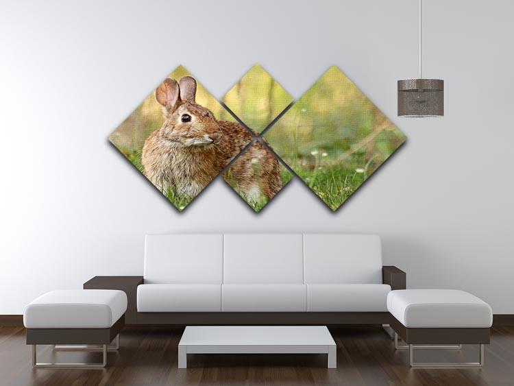 Brown rabbit looking into the camera 4 Square Multi Panel Canvas - Canvas Art Rocks - 3