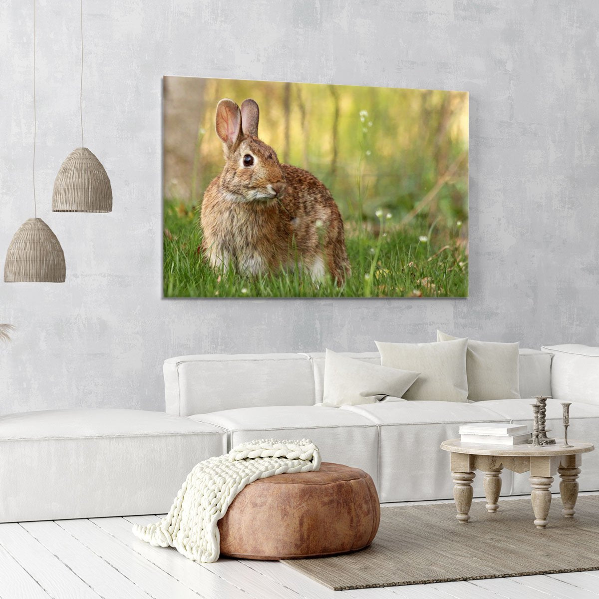 Brown rabbit looking into the camera Canvas Print or Poster