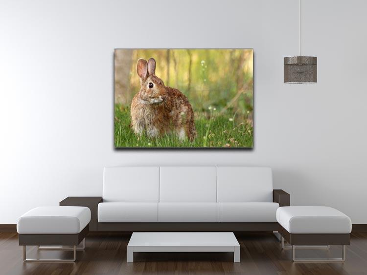 Brown rabbit looking into the camera Canvas Print or Poster - Canvas Art Rocks - 4