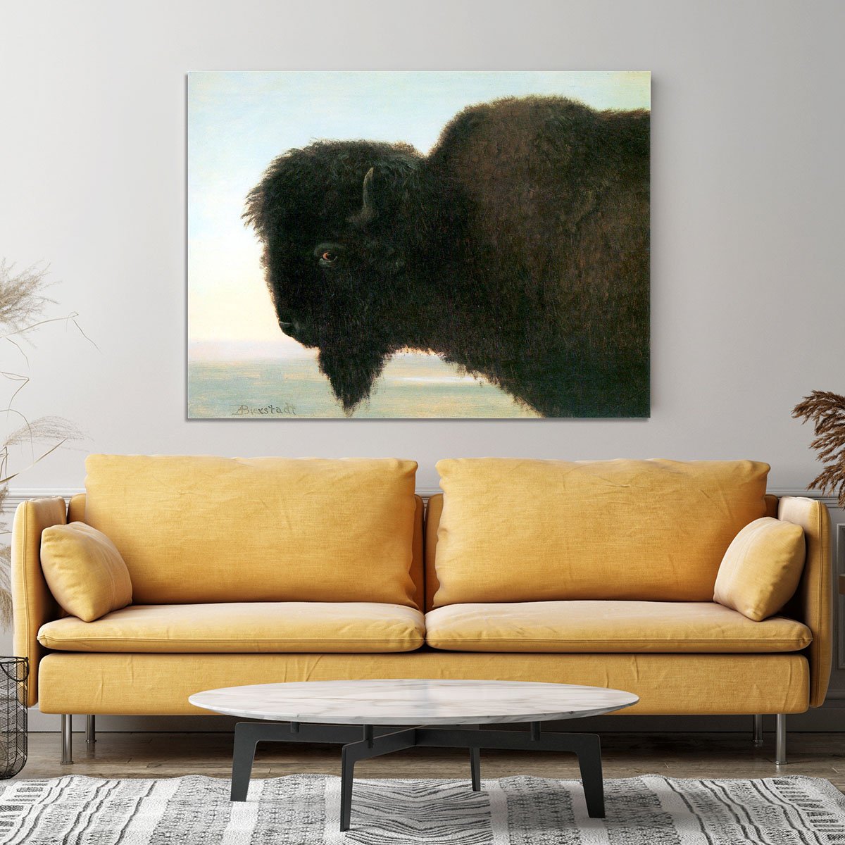 Buffalo Head by Bierstadt Canvas Print or Poster