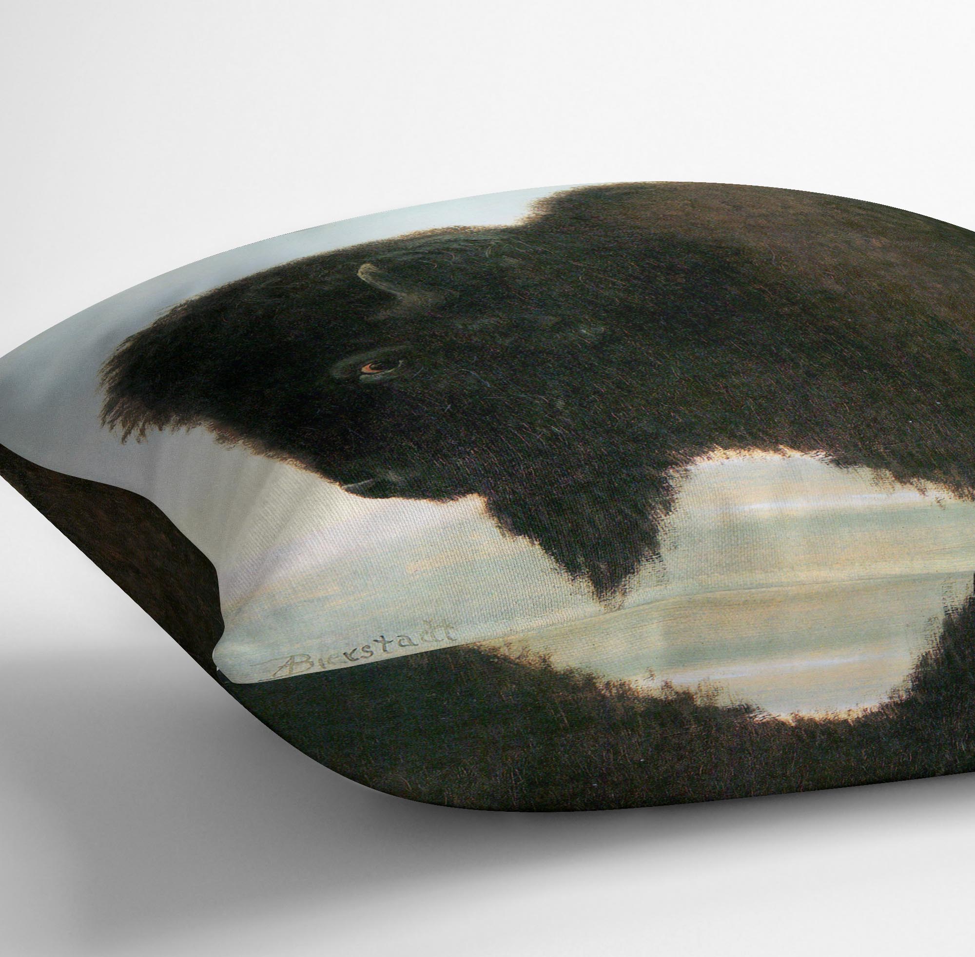 Buffalo Head by Bierstadt Cushion - Canvas Art Rocks - 3