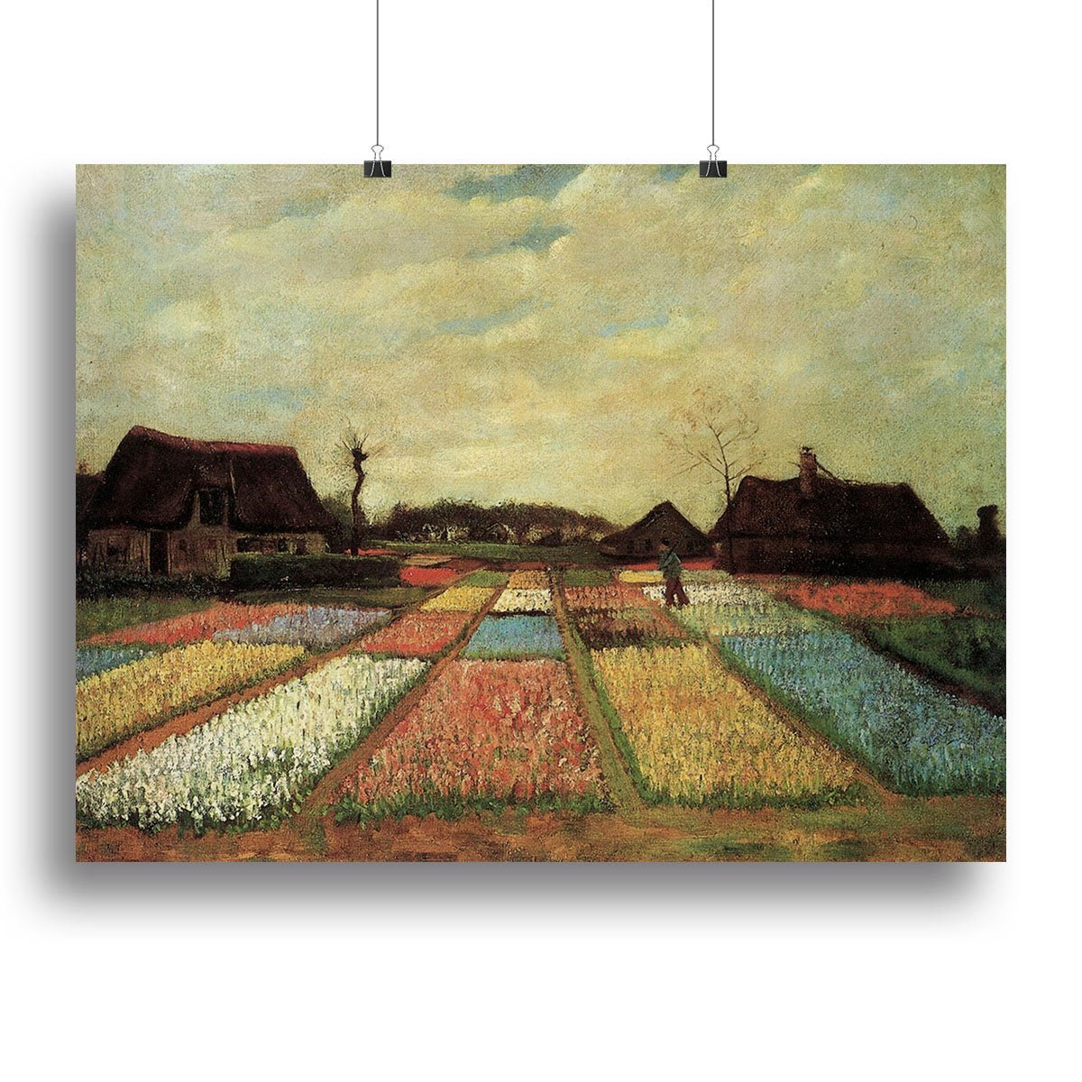 Bulb Fields by Van Gogh Canvas Print or Poster