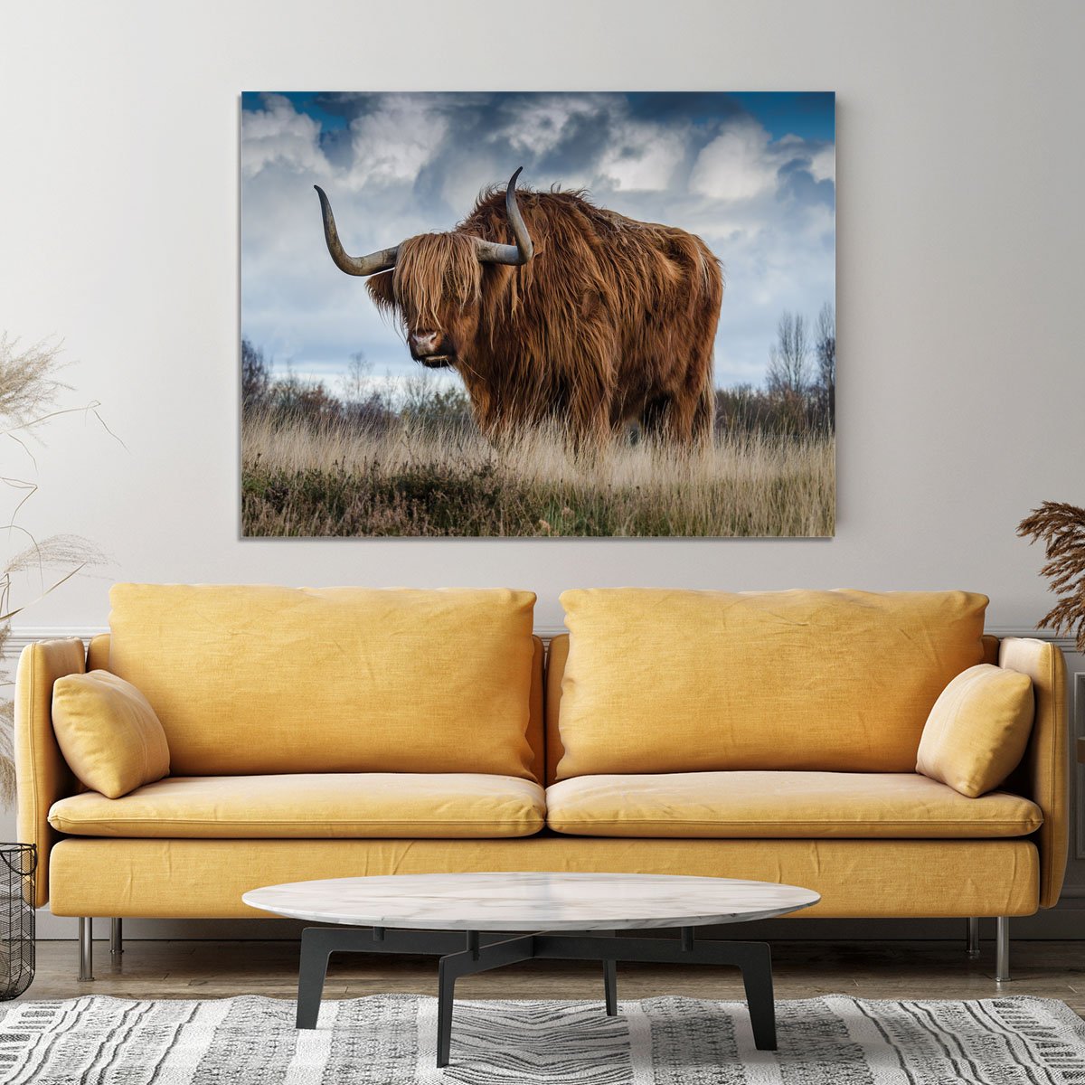 Bull Canvas Print or Poster