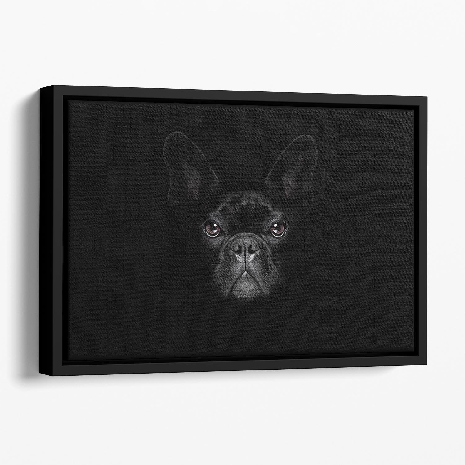 Bulldog dog Floating Framed Canvas - Canvas Art Rocks - 1