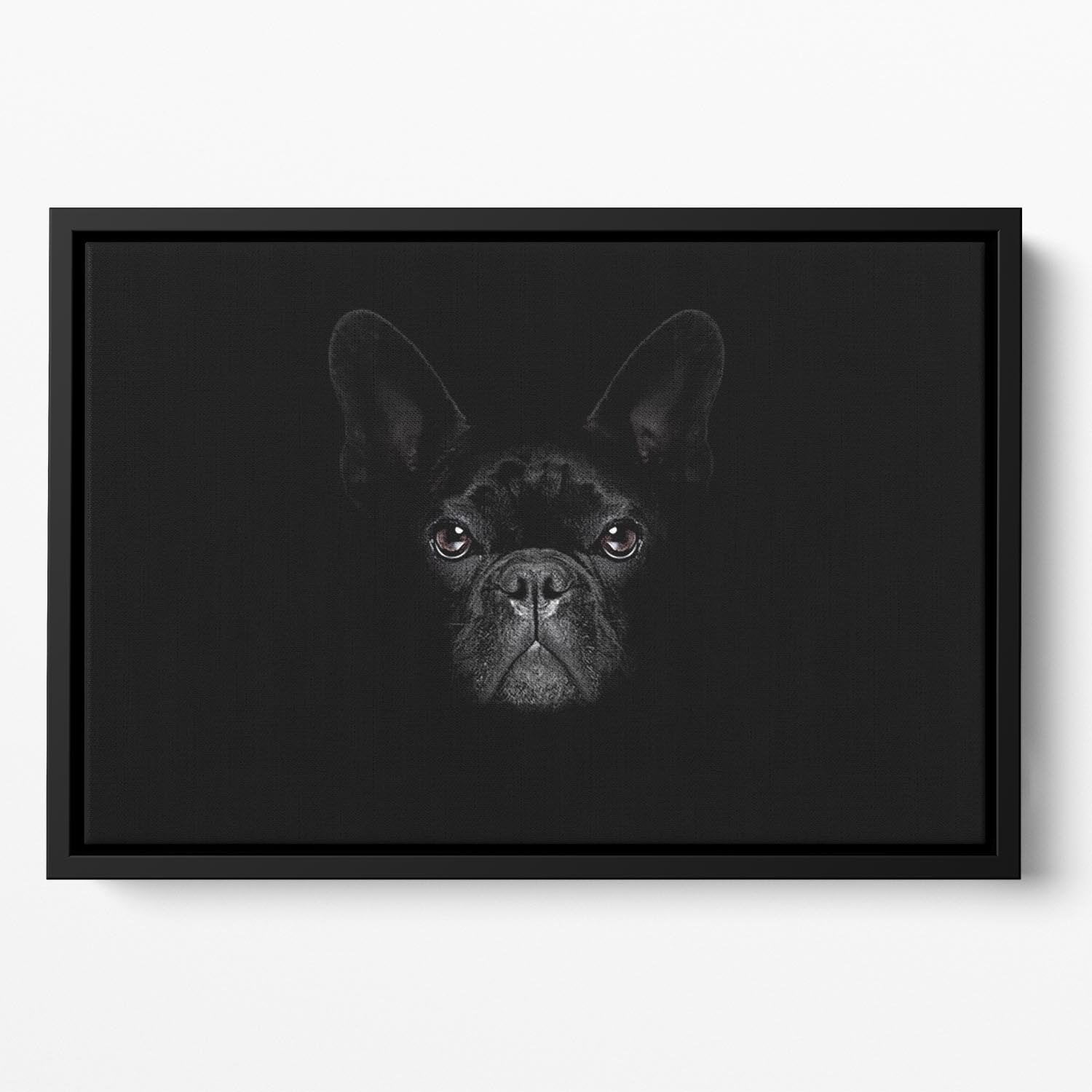 Bulldog dog Floating Framed Canvas - Canvas Art Rocks - 2