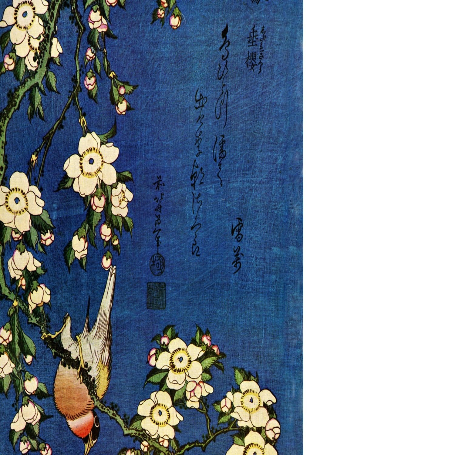 Bullfinch and drooping cherry by Hokusai Floating Framed Canvas