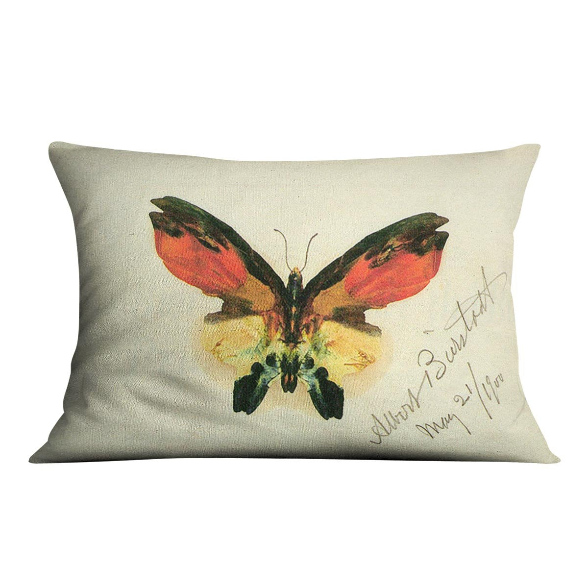Butterfly 2 by Bierstadt Cushion - Canvas Art Rocks - 4