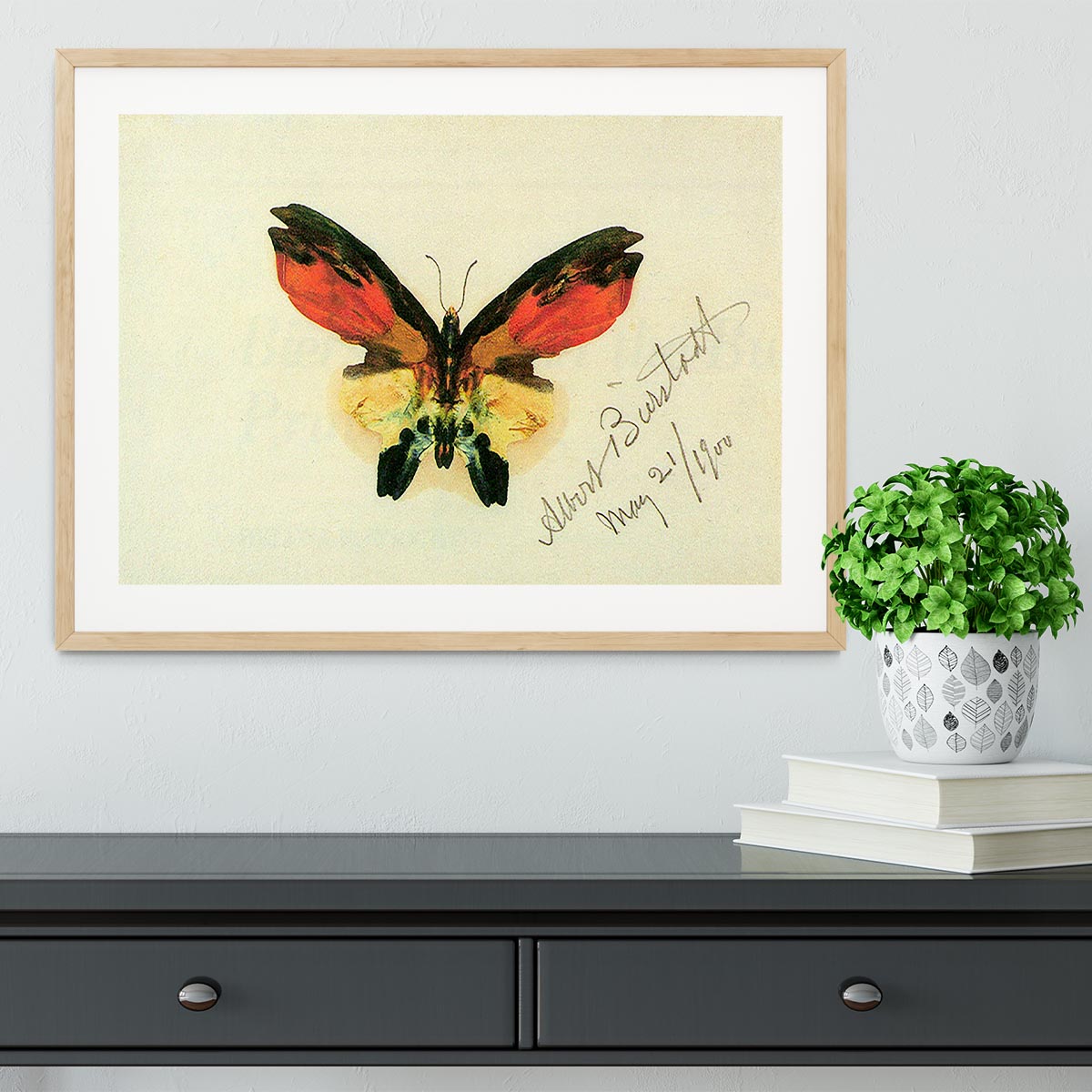 Butterfly 2 by Bierstadt Framed Print - Canvas Art Rocks - 3