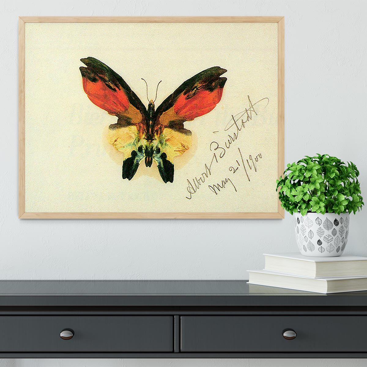 Butterfly 2 by Bierstadt Framed Print - Canvas Art Rocks - 4