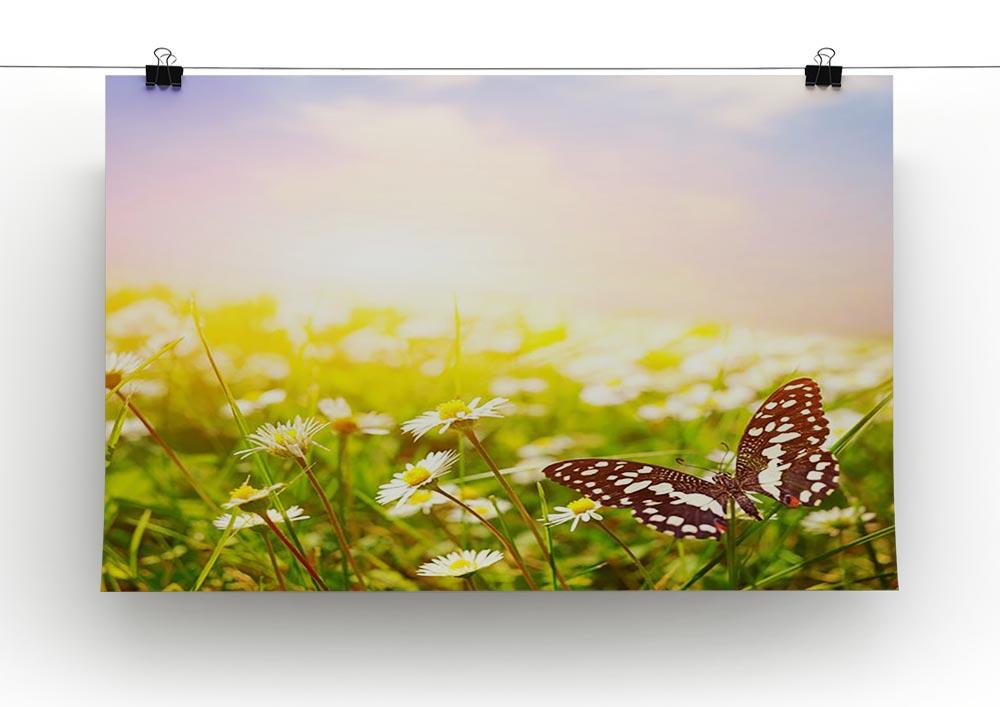 Butterfly on a daisy field Canvas Print or Poster - Canvas Art Rocks - 2