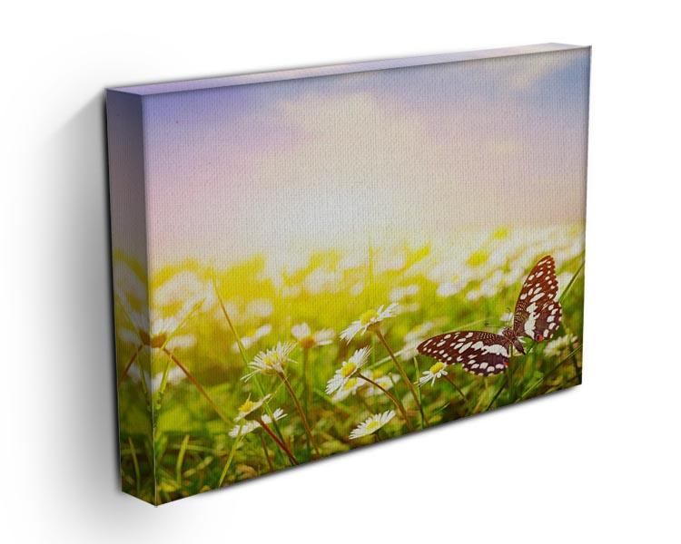 Butterfly on a daisy field Canvas Print or Poster - Canvas Art Rocks - 3
