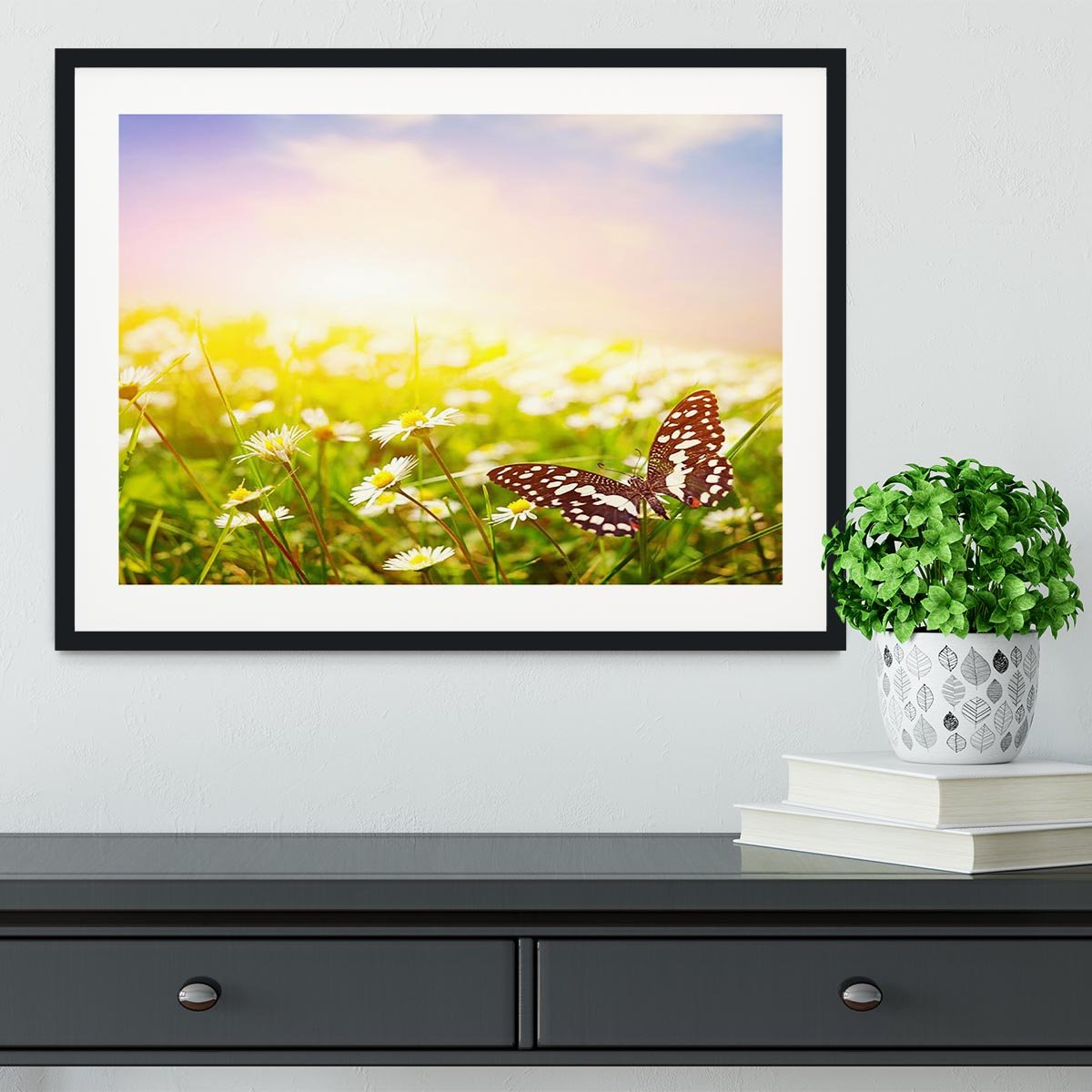 Butterfly on a daisy field Framed Print - Canvas Art Rocks - 1